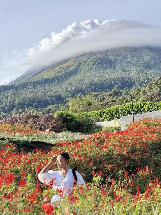 Exploring hidden gems in North Sumatra — here’s a guide to Kuta Gugung and the stunning Danau Lau Kawar 🌄🔥

Top Spots to Visit:
1. Danau Lau Kawar  
This mesmerizing volcanic lake sits beneath the mighty Mount Sinabung, offering crystal-clear waters and panoramic mountain views. Find it at: 59VM+MW6, Jl. Kiras Bangun, Kuta Gugung, Kec. Naman Teran, Kabupaten Karo, Sumatera Utara 22153. The best part? It’s open year round and all day Wednesday, so you’re free to chase that sunrise or relax by the water till dusk.

Travel Tips:
I recommend bringing your own sembahe (offerings or snacks) for a picnic session lakeside. The vibe is tranquil, perfect for unwinding or reflecting with nature. If you’re lucky, you might spot local rituals or fishermen working their nets — it’s authentic Sumatra.

How to Get Around:
No public transport directly to the lake, so rent a scooter or grab a local driver from Kuta Gugung. The roads are steep but scenic — drive slow, especially after rains!

Food Recommendations:
No big restaurants at the lake, but you’ll find roadside warungs (small Indonesian eateries) in Kuta Gugung serving fresh kopi (coffee) and gorengan (fried snacks). Don’t miss a sip of local ginger tea for warmth!

Destination Tips:
Bring cash for warungs, as cards aren’t commonly accepted. Weather can change quickly, so pack a light jacket and extra socks. Respect local customs by not littering around the lake.

#KaroAdventure  #LauKawarLake  #SumatraNature  #TravelTips 