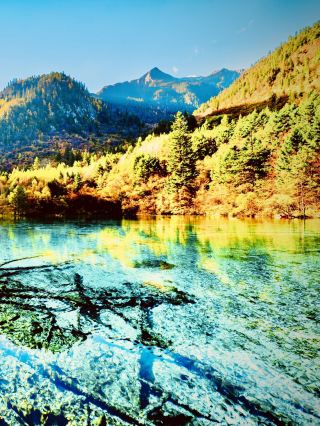 ウガンダ・シピの滝：苔むしたアラビカコーヒー・トレイル easytravelpost