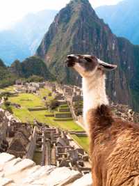 My Essential Backpacking Guide: Cusco & Machu Picchu, PERU 