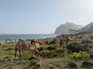 Al Musghail beach - Dhofar