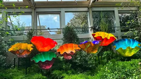 🍂 Where Fall Colors Meet Botanical Beauty 🌺 — traveler post in Columbus
