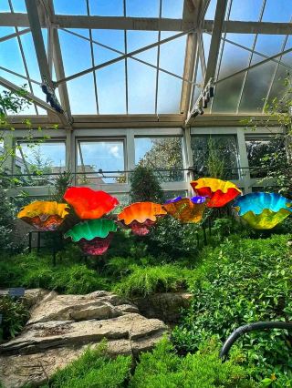 🍂 Where Fall Colors Meet Botanical Beauty 🌺