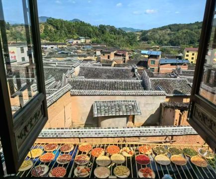 福建的隱世柿子天堂：四坪村的絕美秋日氛圍
