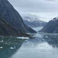 Endicott Arm and Dawes Glacier