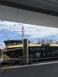 Taking a cruise along circular quay