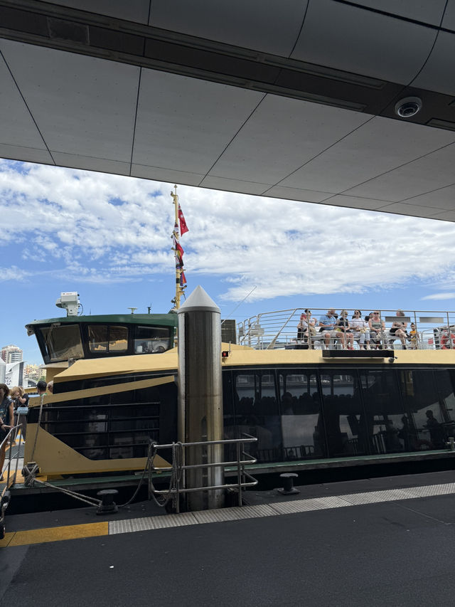 Taking a cruise along circular quay