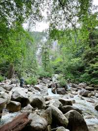 🇨🇦North Vancouver에 꼭 가봐야할 폭포Shannon falls park🎈