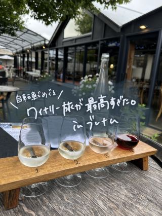 【NZ最大】ワイン産地「ブレナム」へ。自転車で巡る葡萄畑と大人の休日🍷