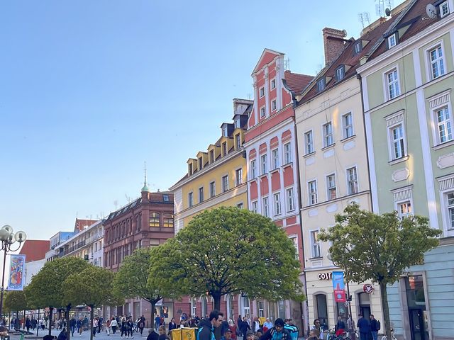 🇵🇱 그 쪽도 브로츠와프를 아세요~?😆