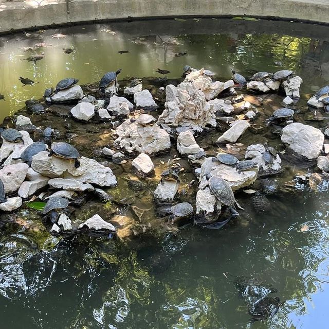 Athens National Gardens 🗺️ Athens National Gardens 🗺️