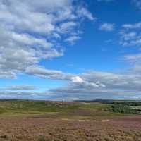 Nature's Citadel: A Tranquil Day at Owler Tor