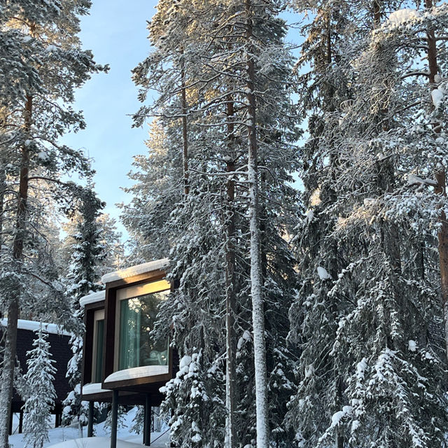 🇫🇮｜The most beautiful hotel in Rovaniemi 