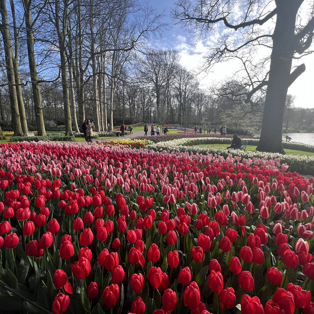 Keukenhof at Amsterdam💐 