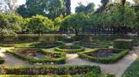 Splendid Seville
