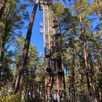 Dzintari Forest Park 🗺️
