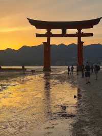 이쓰쿠시마 사원과 대새문: 바다 위 일본의 상징 🌊⛩️