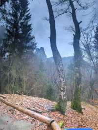 Bastei Bridge - Hiking to history