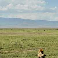 Into the heart of Ngorongoro