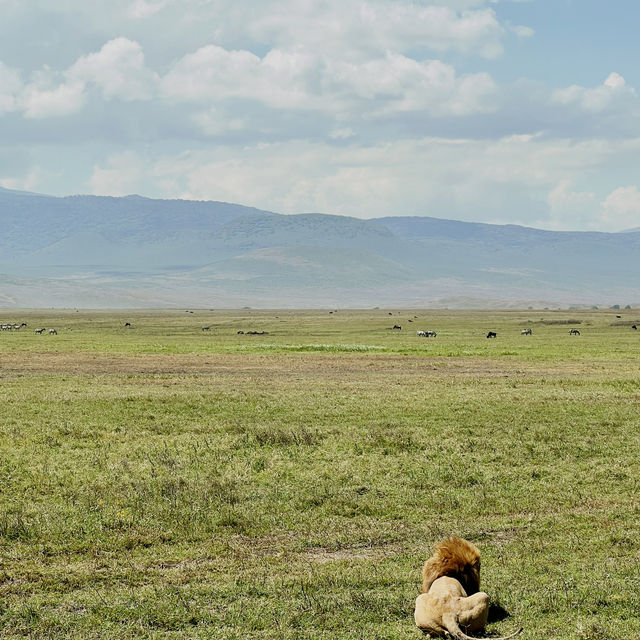 Into the heart of Ngorongoro