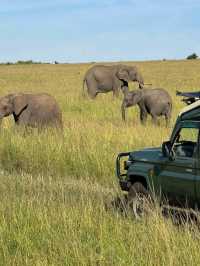 Maasai Mara Safari Tour
