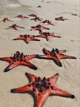 Phu Quoc Island 6 Days Itinerary