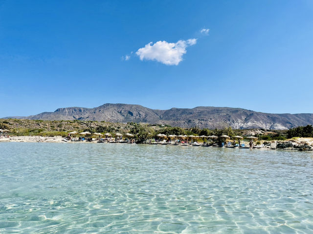 Paradise 🏖️