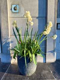 Sweet Pea Climb