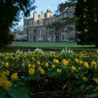 🌸🌿 Spring Has Landed at Audley End House & Gardens in Uttlesford! 🌿🌸