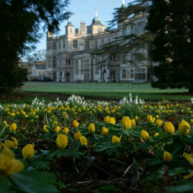 🌸🌿 Spring Has Landed at Audley End House & Gardens in Uttlesford! 🌿🌸