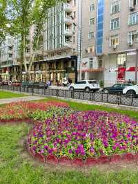 Spring Stroll on Rudaki Avenue, Dushanbe