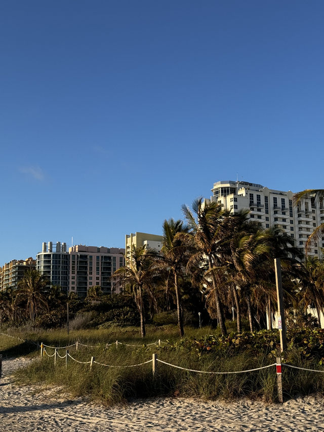 Our 3-Day Miami Beach Adventure! 🌴🌊