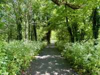 Blueway & Marlfield Lake