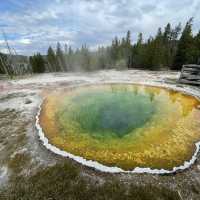 🌟 Top 3 Must-See Landmarks in Yellowstone National Park 🌟
