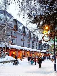 Whistler: Where Adventure Meets Alpine Beauty