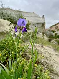 Cappadocia: Rose Valley in Bloom