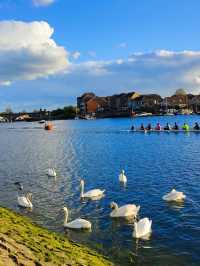 Spring Breezes and Seaside Calm: A Day in Southampton