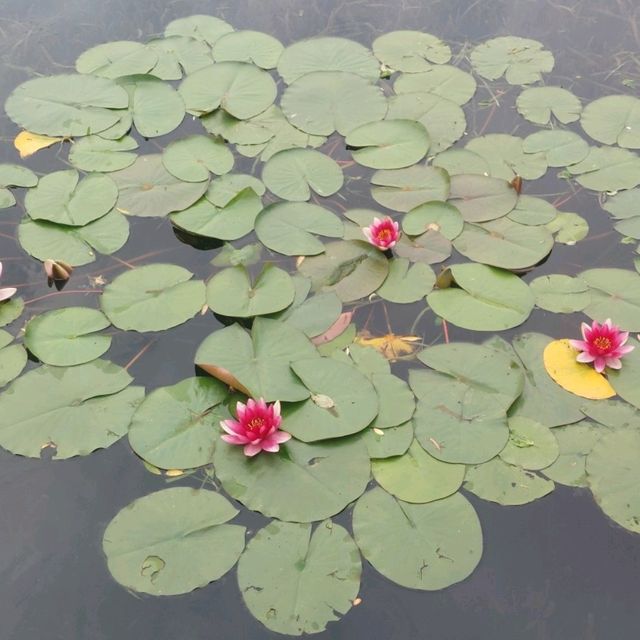 Nice parks with lakes