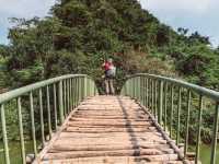 Thung Nham Bird Park: A Hidden Oasis in Tam Coc, Vietnam