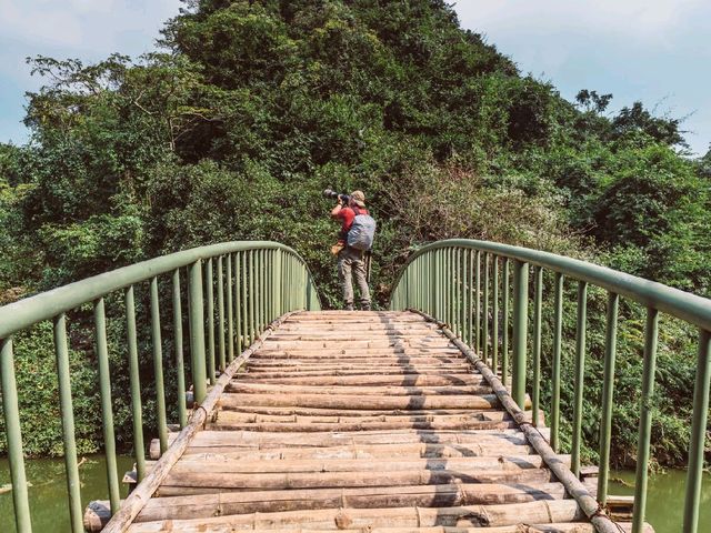 Thung Nham Bird Park: A Hidden Oasis in Tam Coc, Vietnam
