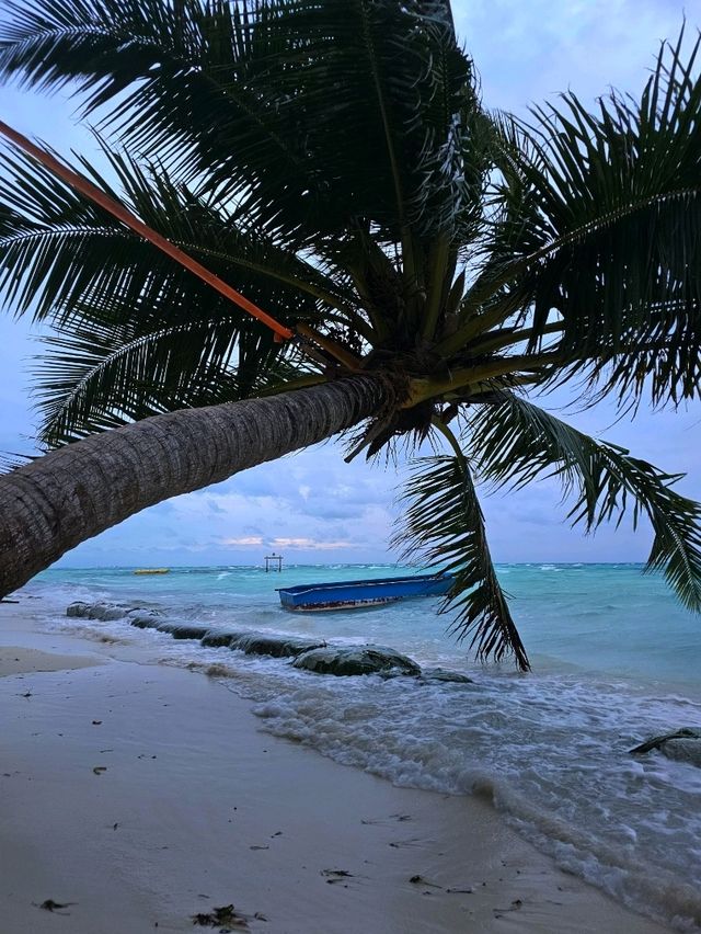 🌊 Dhiffushi Island, Maldives – A Local Island Paradise Experience
