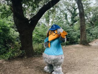 ウィンブルドン・コモン: 野生的で風が心地よく、緑豊かな場所