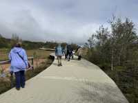 Geysir Geothermal Area: Where Iceland’s Earth Shows Its Power