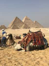 Spent my entire day deep in the Wonders of the Giza Pyramids!