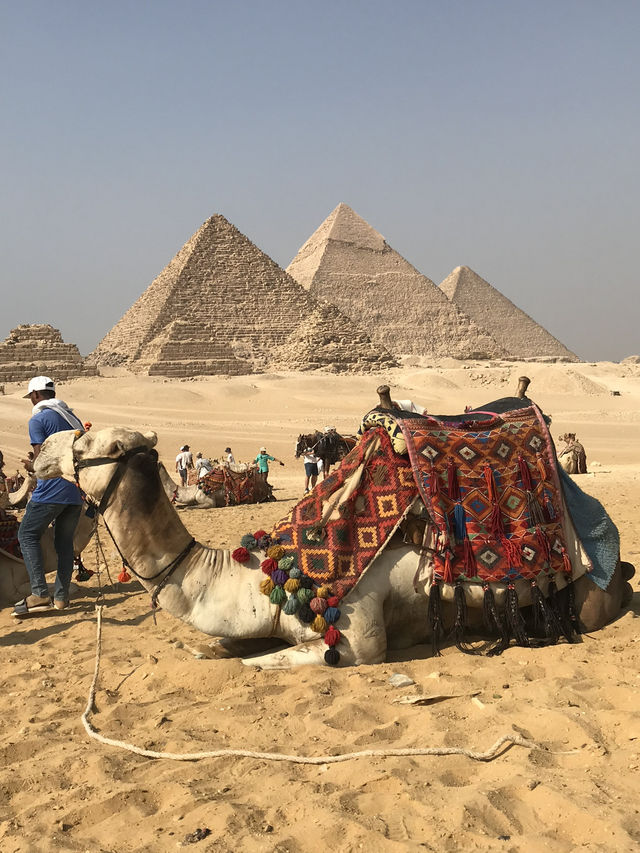 Spent my entire day deep in the Wonders of the Giza Pyramids!