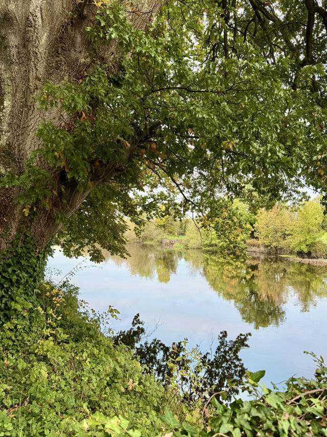 Morning Coffee by the River
