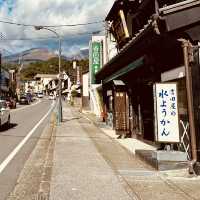 Nikko day-trip from Tokyo