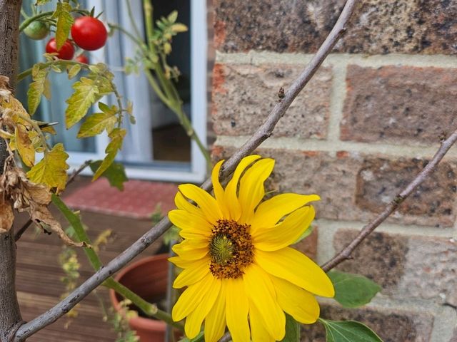 Wild Hearts & Golden Horizons: Fall Safari in Kenya Wild Hearts & Golden Horizons: Fall Safari in Kenya