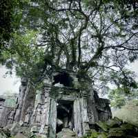 Самостоятельно в поисках сокровищ Ангкора.