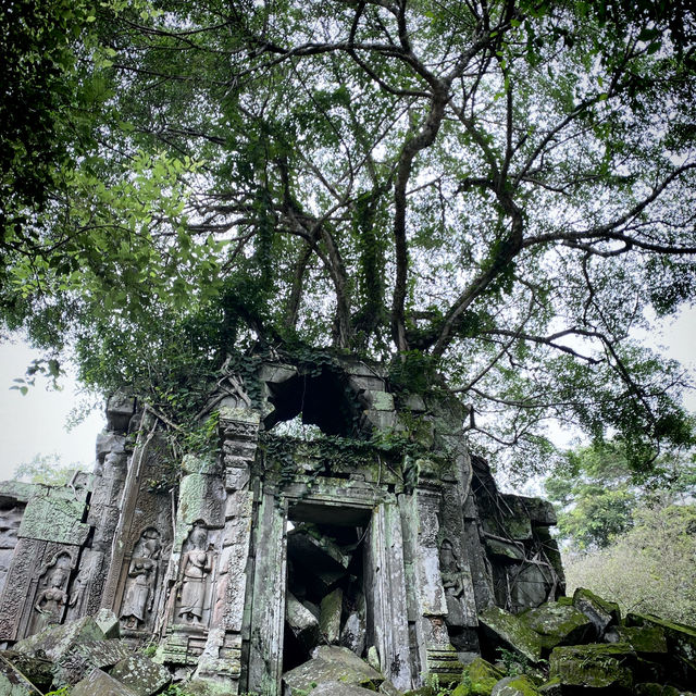 Самостоятельно в поисках сокровищ Ангкора.
