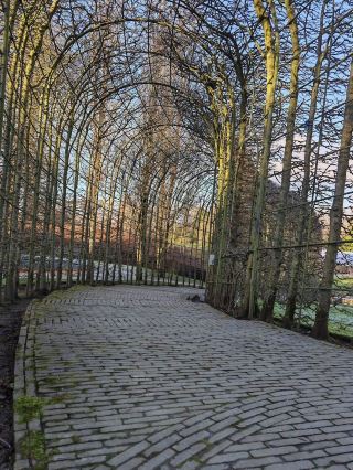 ประสบการณ์ยามเย็นที่อบอวลไปด้วยแสง ความสงบ และความงดงามของฤดูหนาว 🎄✨🌿